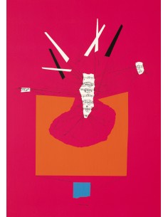 Ricostruzione teorica di un oggetto immaginario, rosa