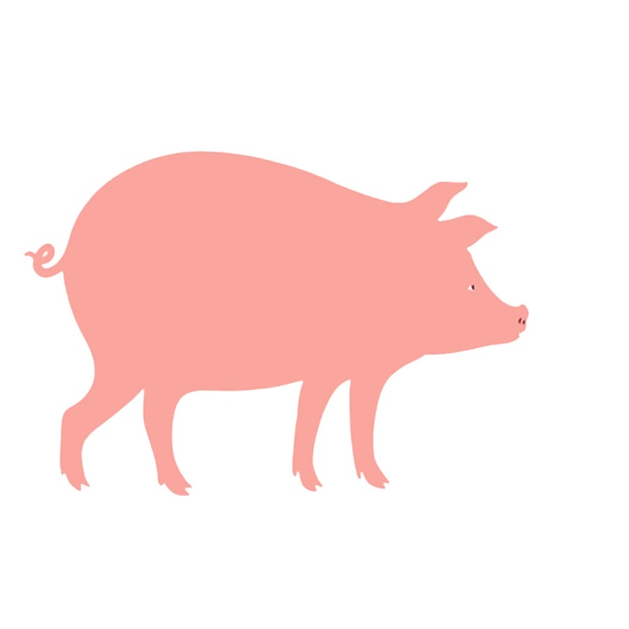 Diciotto, il porcello