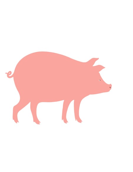 Diciotto, il porcello