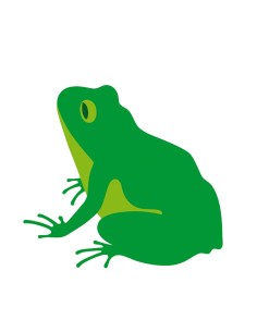 Quattordici, la rana