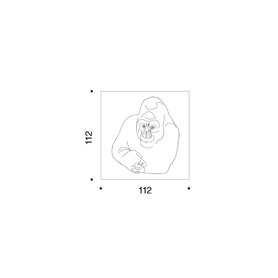 Quindici, il gorilla