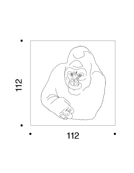 Quindici, il gorilla