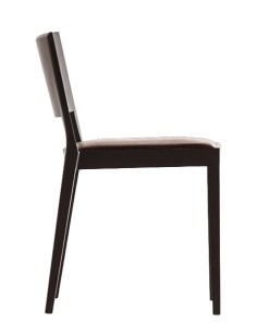 A Chair in the Forest