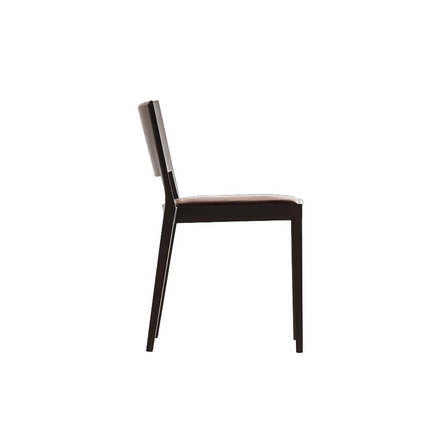 A Chair in the Forest